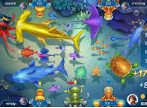 新kiyaun网页版登录2024最新版